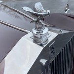 1953 Rolls Royce Silver Dawn  - 69